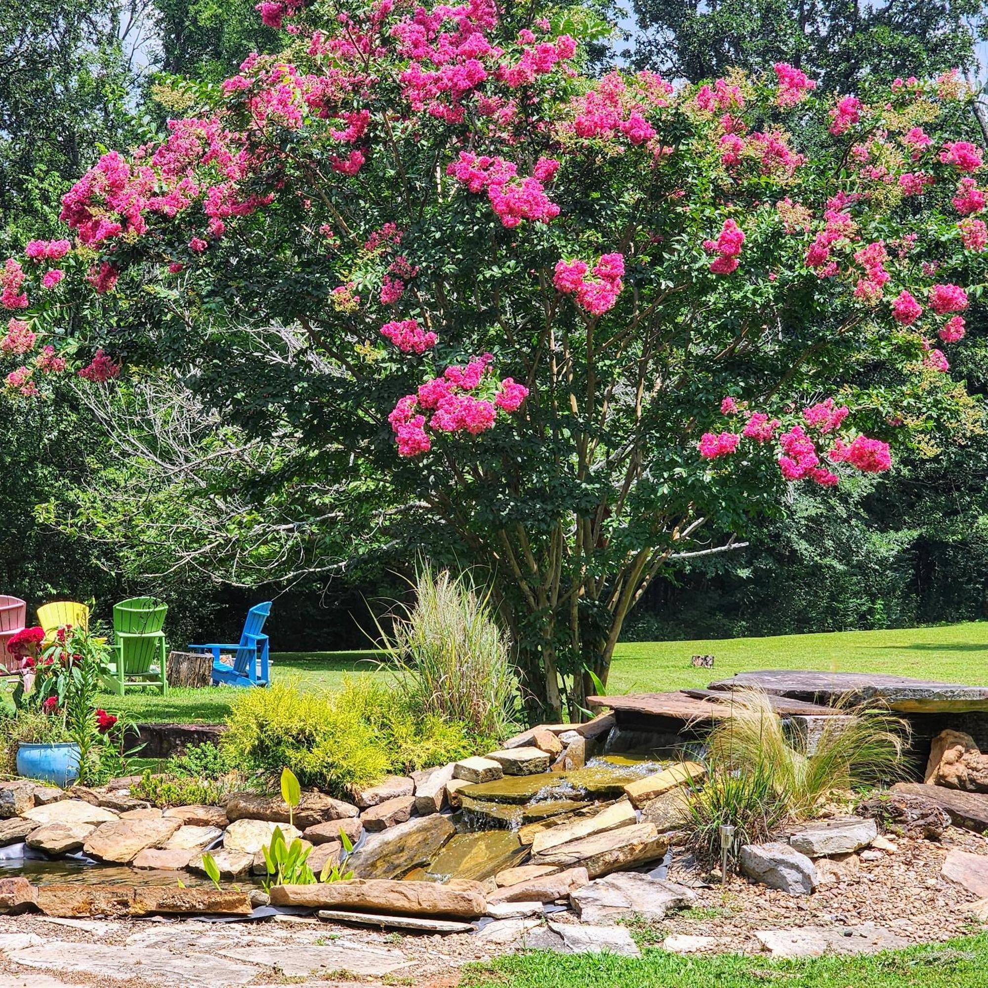 Sisters On Sycamore B&B Russellville Экстерьер фото